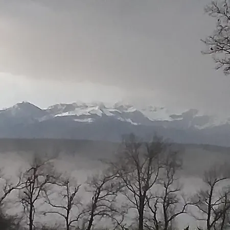 Pyrenees Lurdy